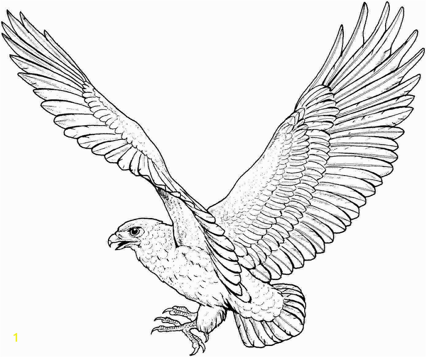 eagle coloring pages