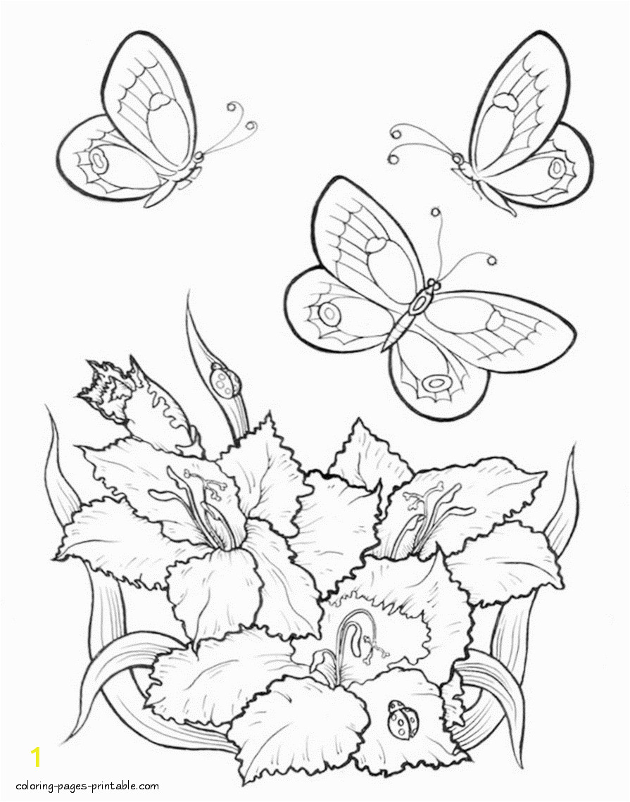 butterfly flower coloring pages