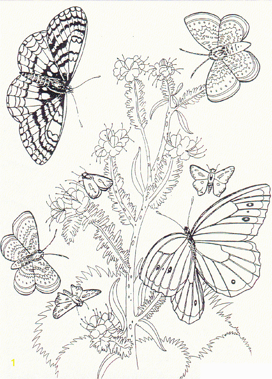 Free Printable Coloring Pages Of Flowers and butterflies Free Printable butterfly Coloring Pages for Kids