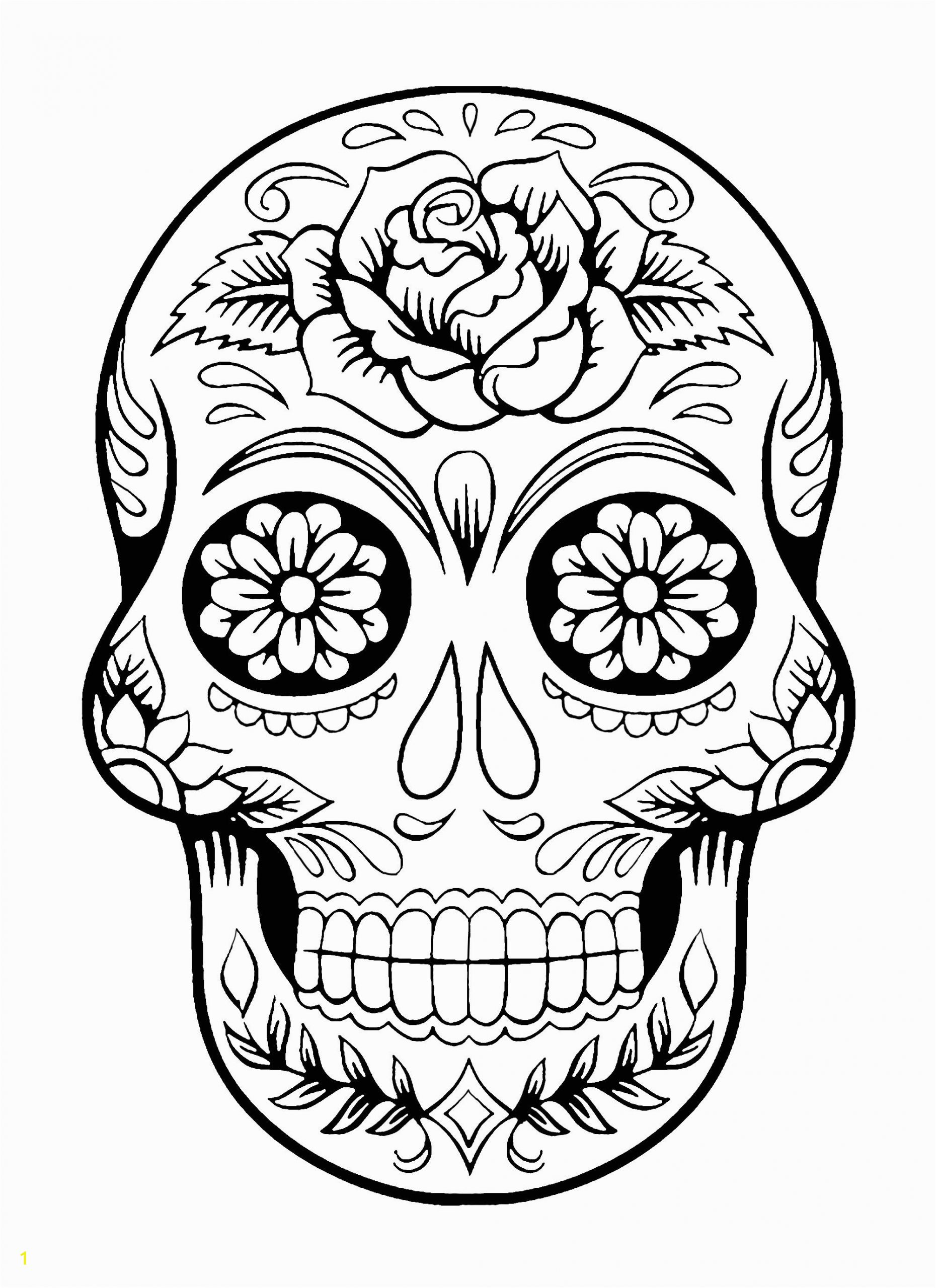 skull