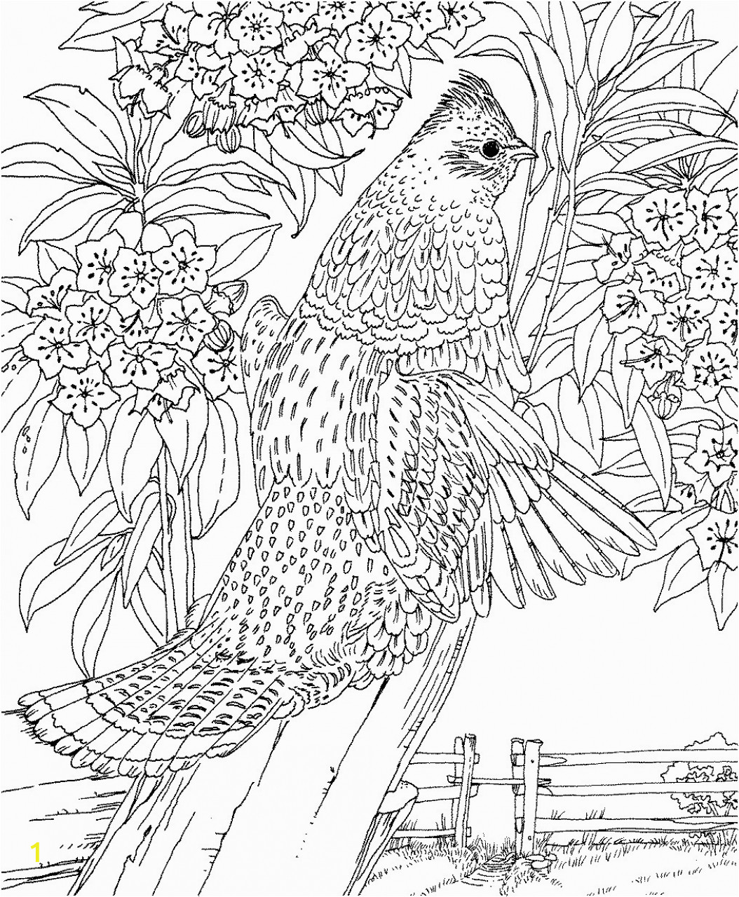 difficult adult coloring pages to print out