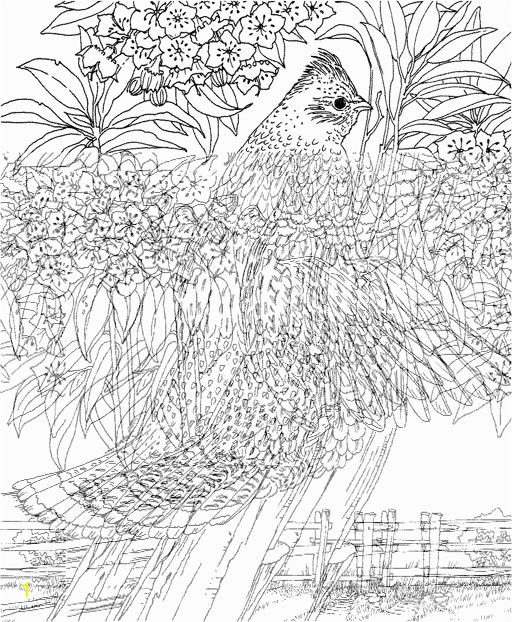 printable difficult coloring pages