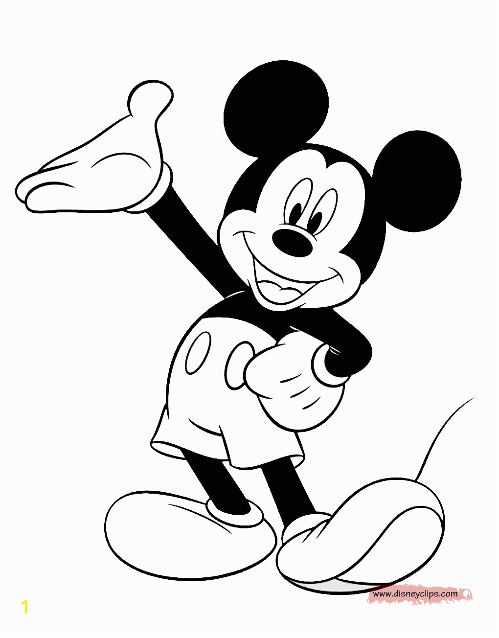 mickeycolor12