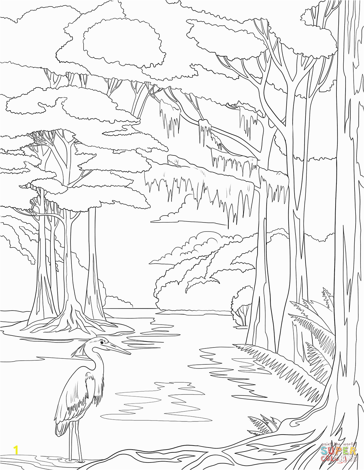 Free Printable National Parks Coloring Pages Everglades National Park Coloring Page