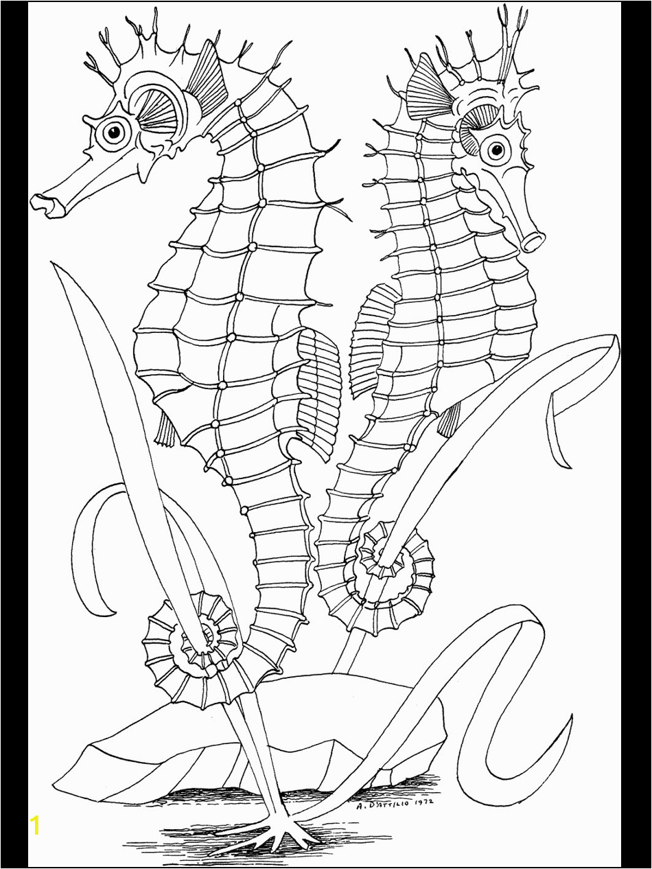 ocean coloring pages