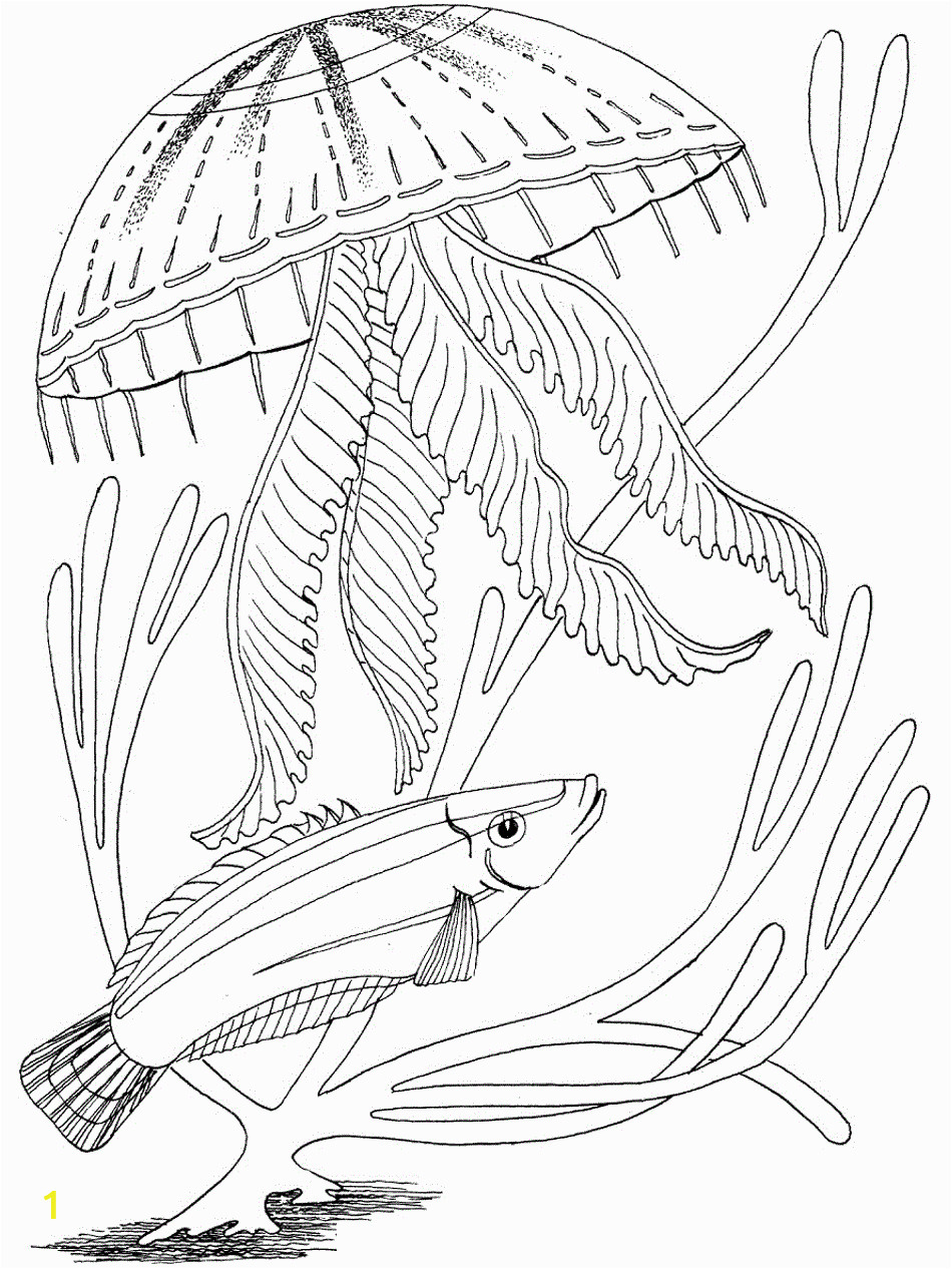 ocean coloring pages