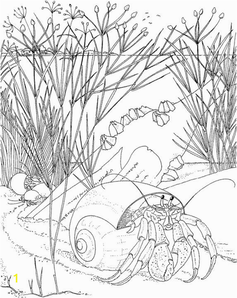 Free Printable Ocean Coloring Pages for Adults Get This Ocean Coloring Pages for Adults 8b461