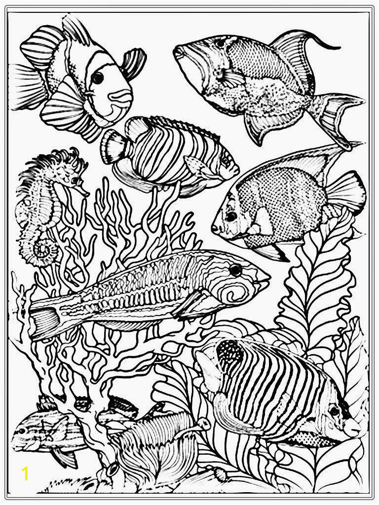 Free Printable Ocean Coloring Pages for Adults Ocean Coloring Pages at Getcolorings