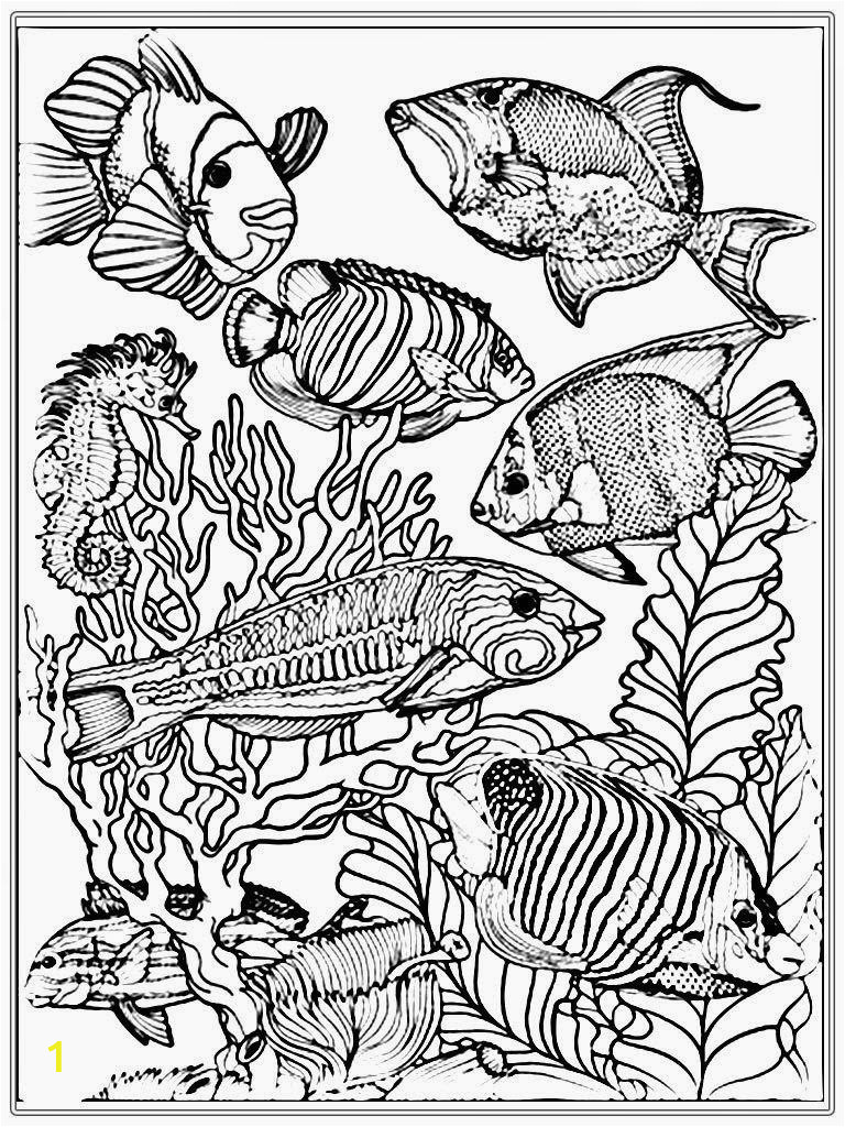 ocean coloring pages