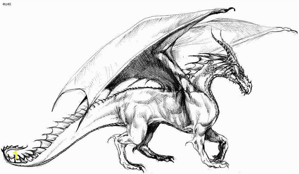 realistic dragon coloring pages for adults