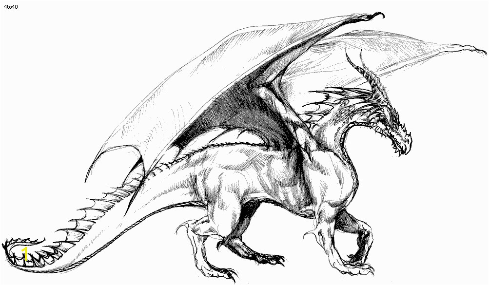 Free Printable Realistic Dragon Coloring Pages Realistic Dragon Coloring Pages for Adults Coloring Home