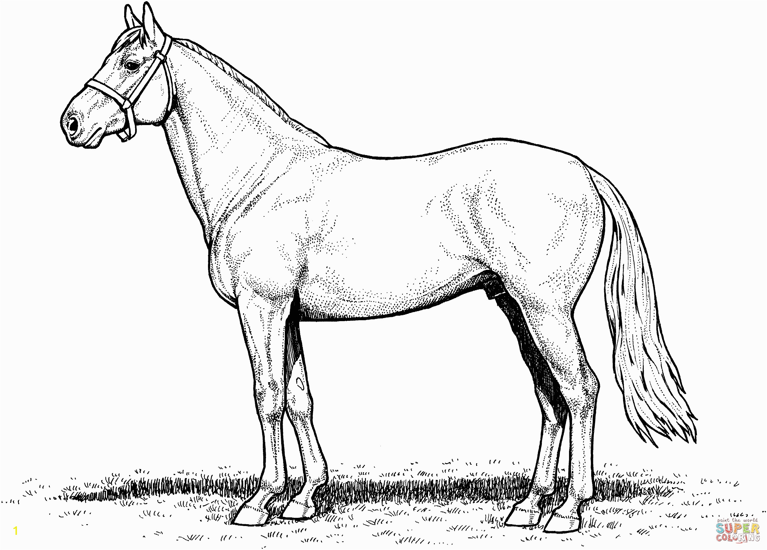 draft horse coloring pages