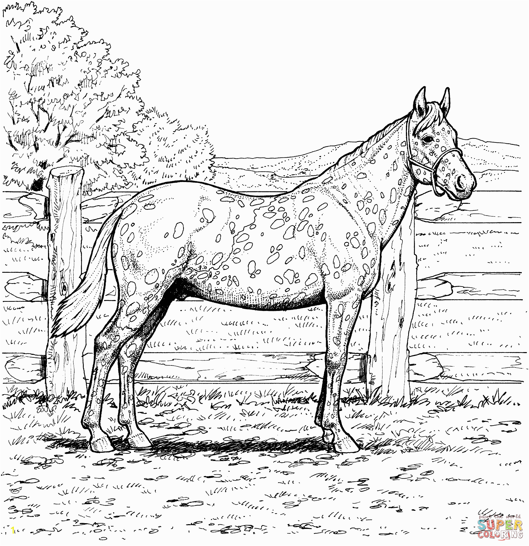 free printable realistic horse coloring pages