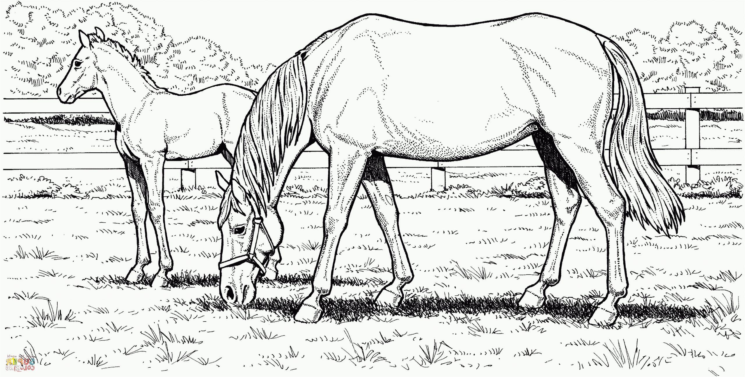 free printable realistic horse coloring pages