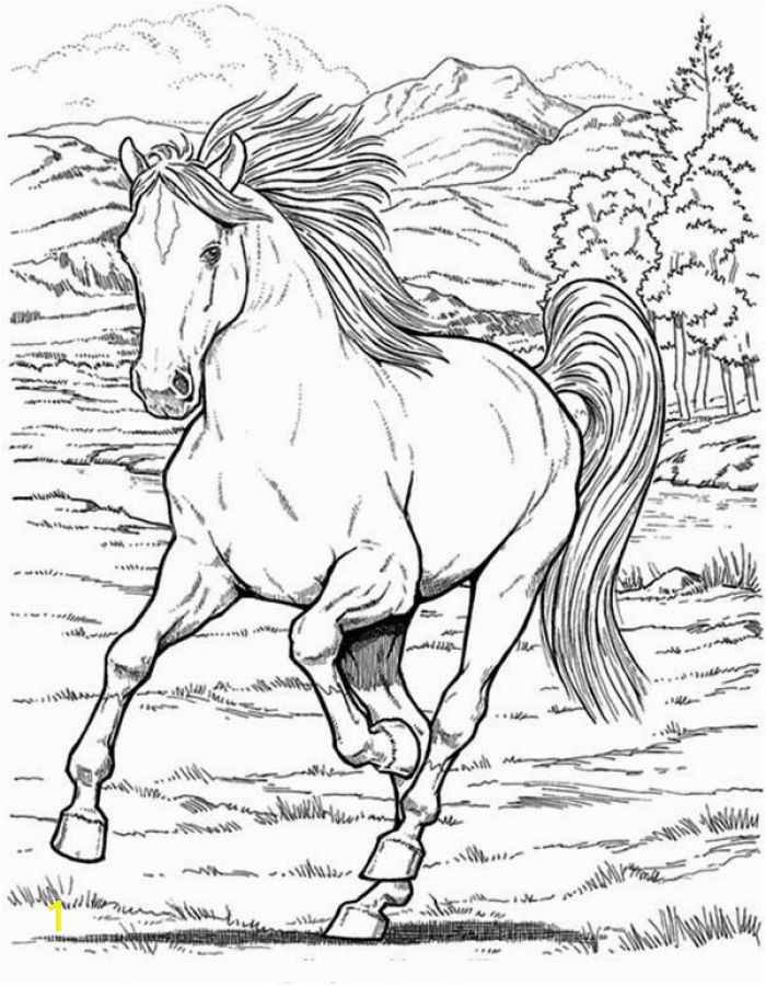 Free Printable Realistic Horse Coloring Pages Free Realistic Wild Horse Coloring Pages to Print