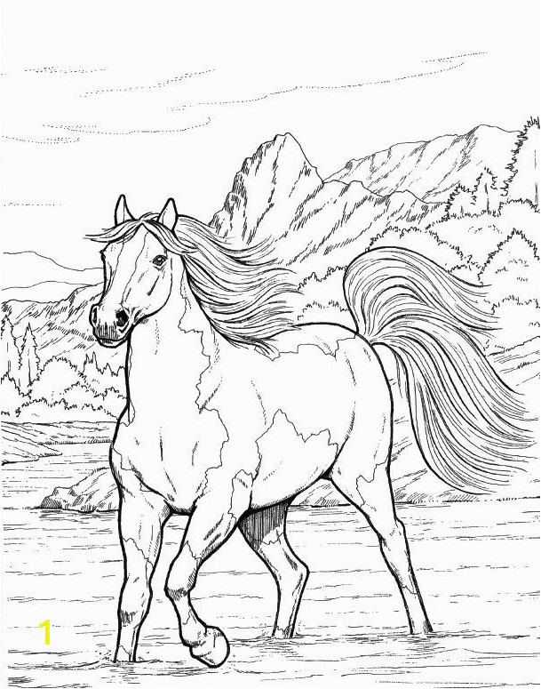 horse coloring pages for adults