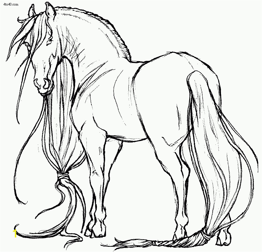 Free Printable Realistic Horse Coloring Pages Realistic Horse Drawing at Getdrawings