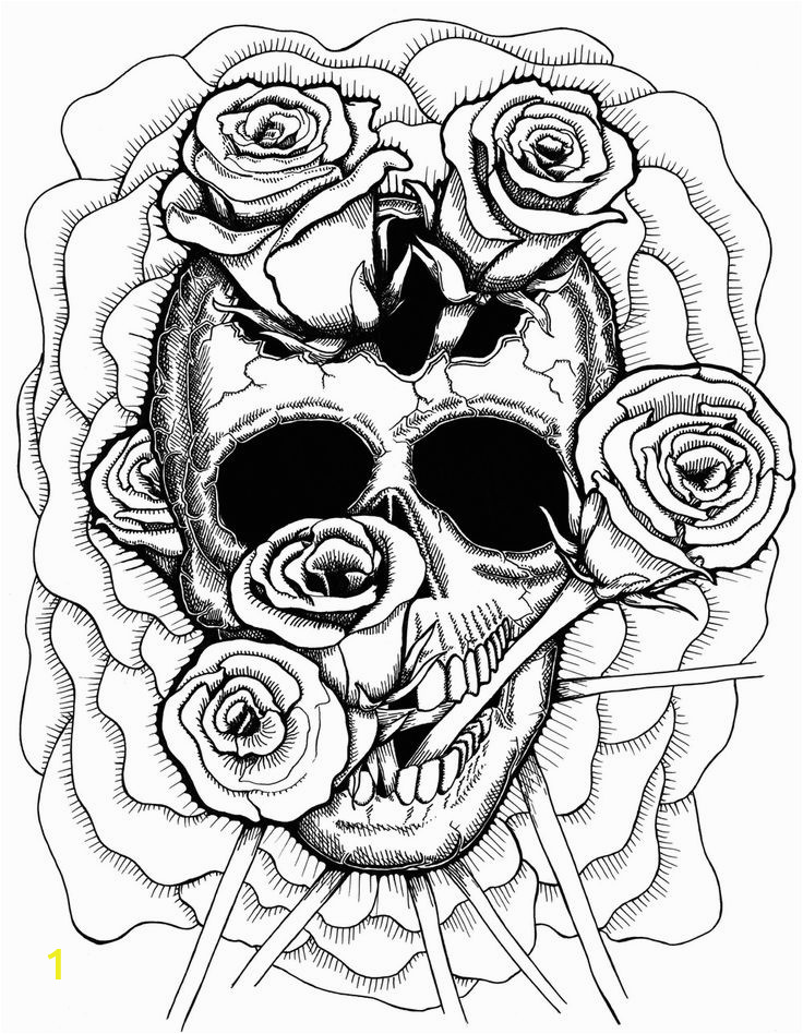 detailed skull drawing