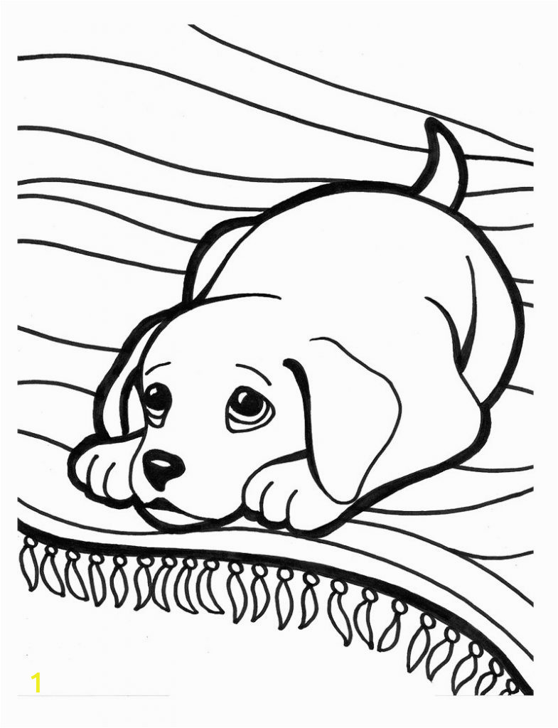 golden retriever puppy drawing