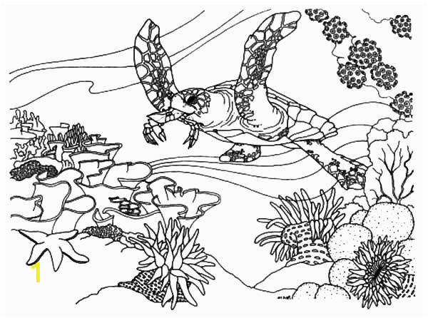Great Barrier Reef Fish Coloring Page Coral Reef Fish Coral Reef Fish Ecosystem Coloring