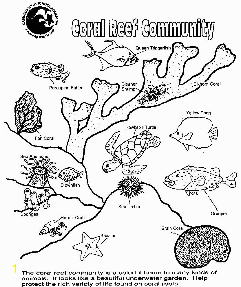 great barrier reef coloring