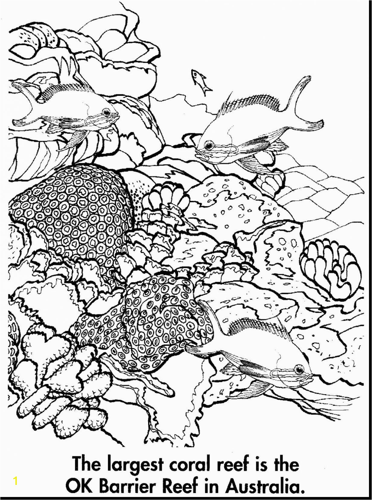 great barrier reef drawing