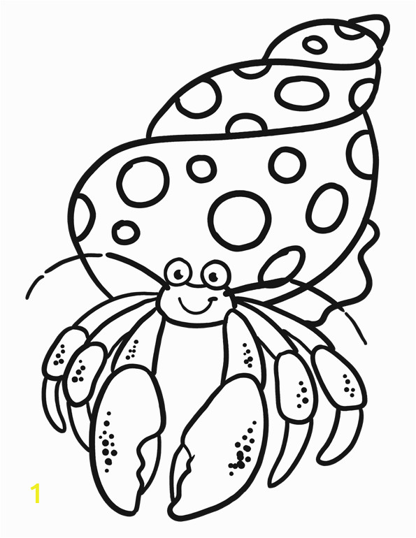 hermit crab coloring pages 10 image