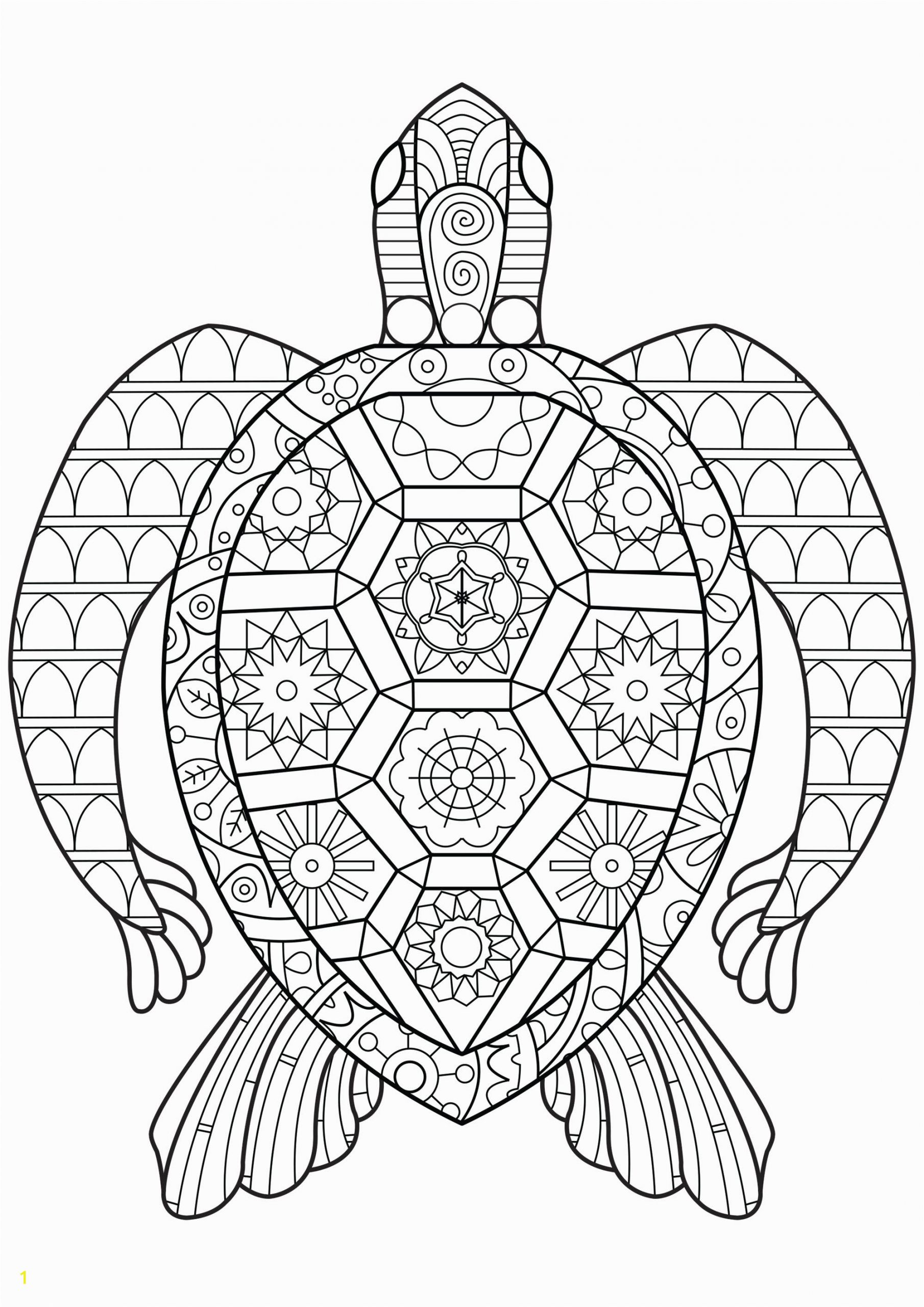 image=turtles coloring zen turtle 1