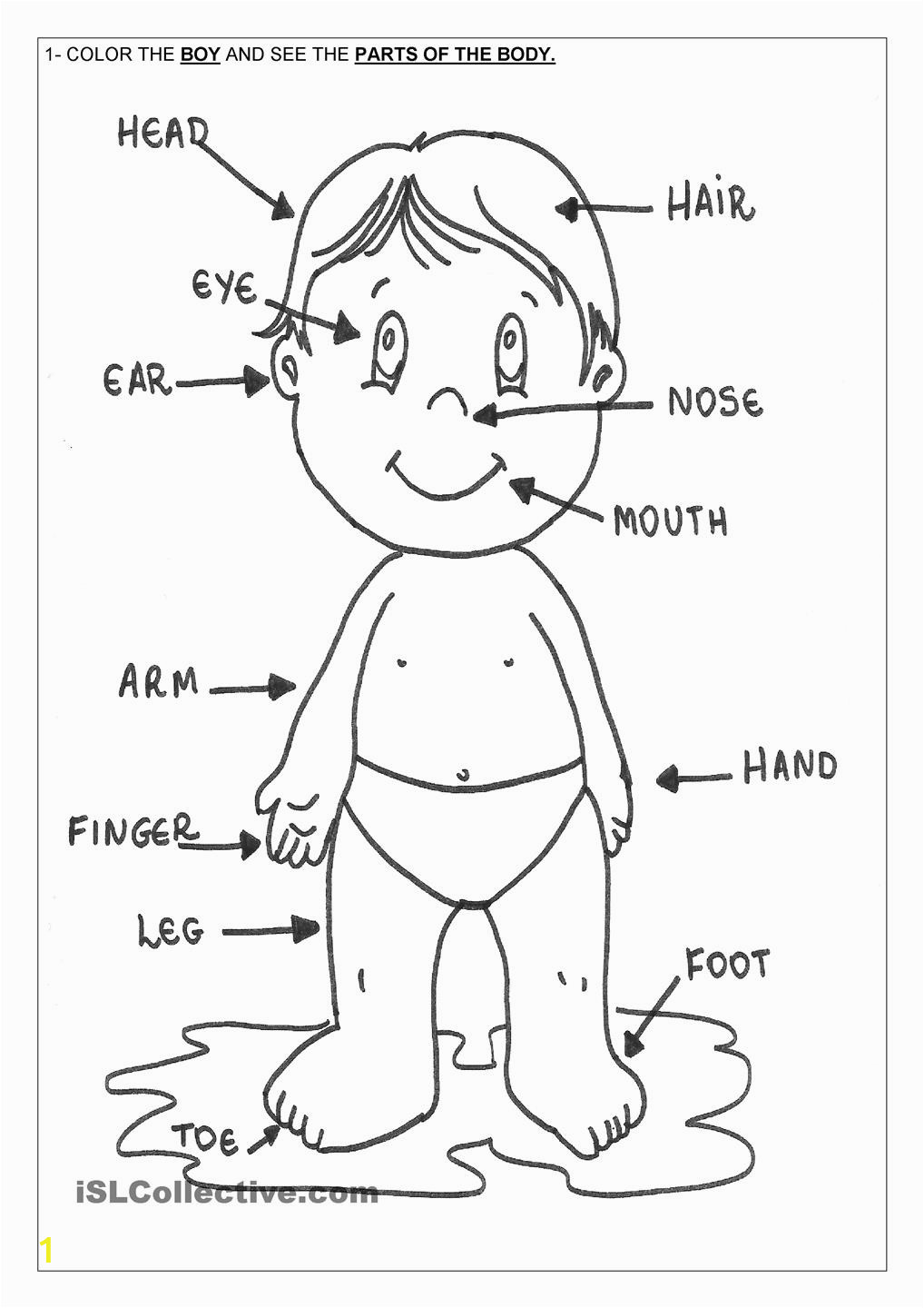 Human Anatomy Coloring Pages for Kids Human Body organs Coloring Pages at Getcolorings