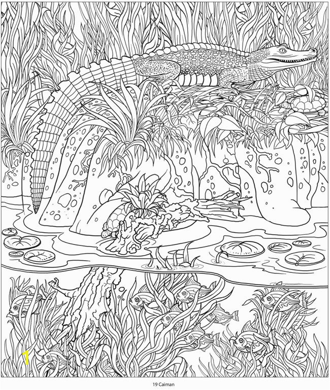Inspirational Coloring Pages Adult Coloring Pages Jangle Charm Wel E to Dover Publications