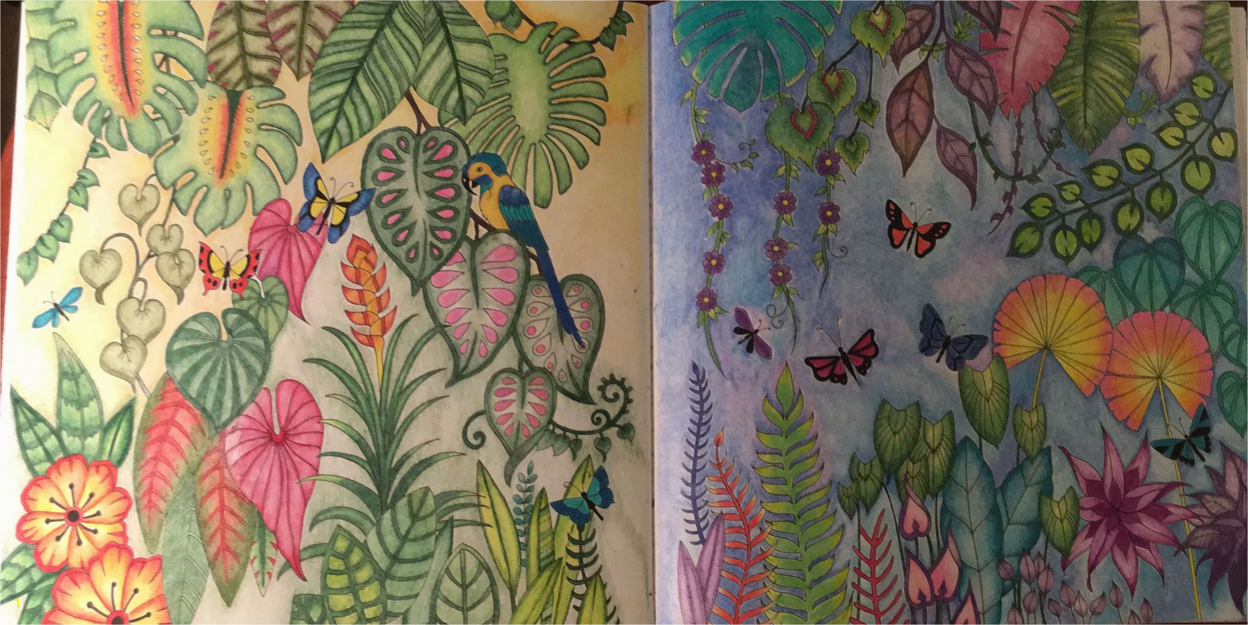 Johanna Basford Magical Jungle Colored Pages Johanna Basford Magical Jungle Prisma Color Pencils