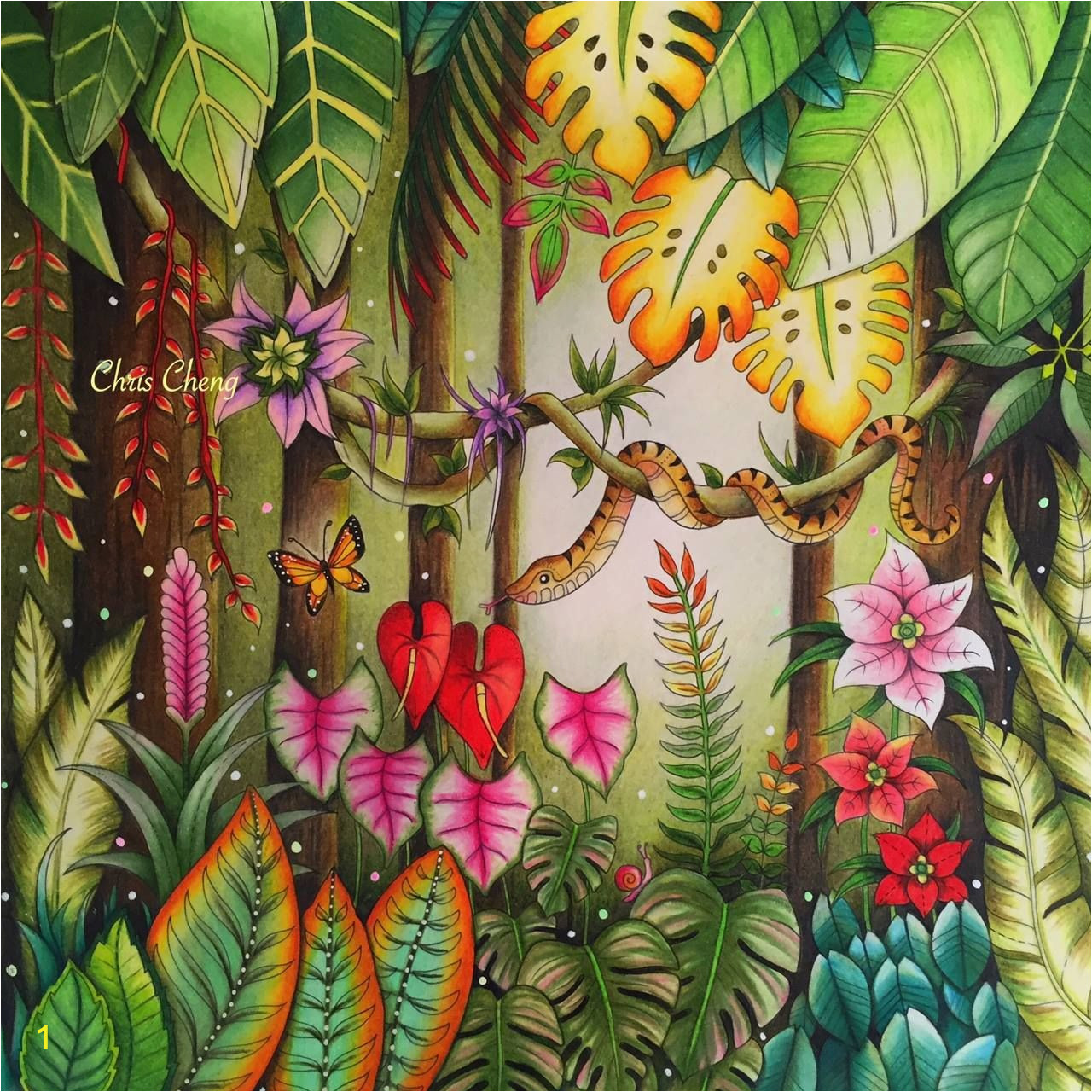 Johanna Basford Magical Jungle Colored Pages Magical Jungle Colored by Chris Cheng who Offers Video