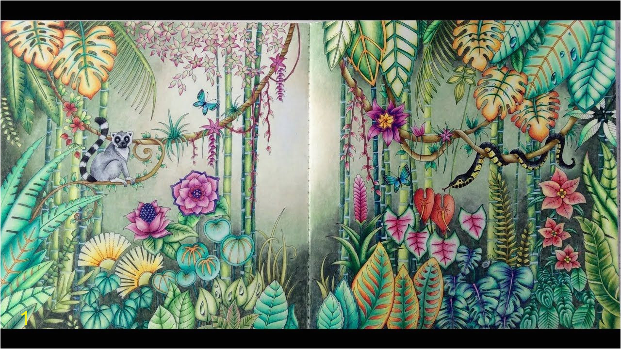 Johanna Basford Magical Jungle Colored Pages Magical Jungle Double Page Tutorial Part 1
