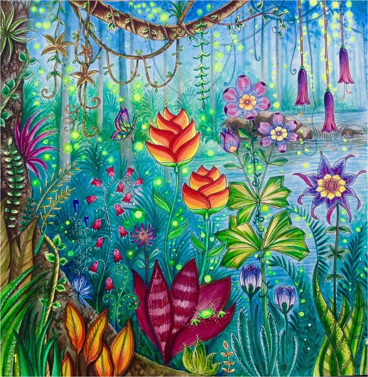 Johanna Basford Magical Jungle Colored Pages Pin by Jody Marx On Coloring Book Out Of the Box