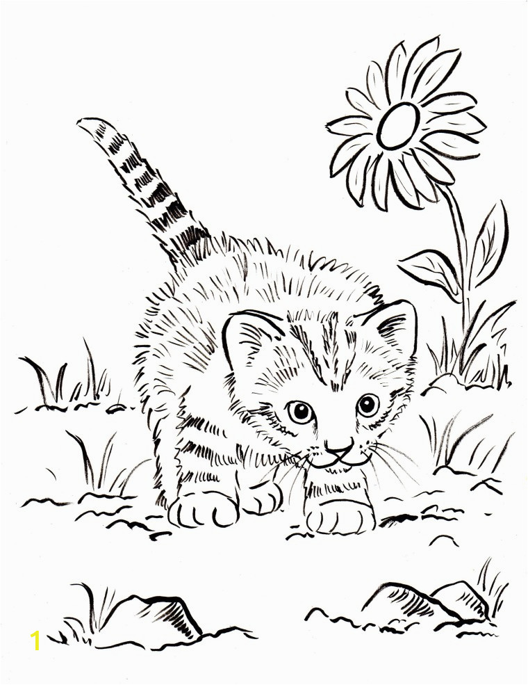 kitten coloring pages printable