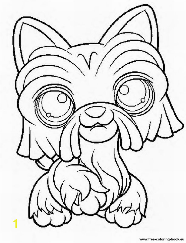 littlest pet shop peacock coloring pages