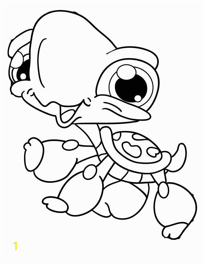 Littlest Pet Shop Turtle Coloring Pages 20 Best Littlest Pet Shop Coloring Pages Images On