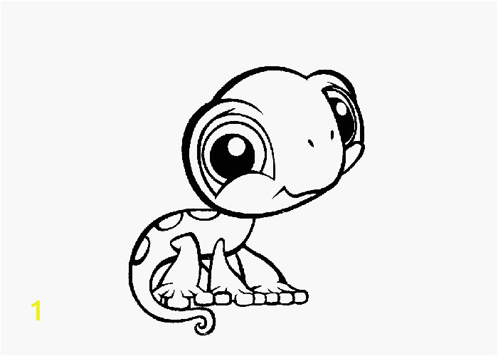 littlest pet shop turtle coloring pages
