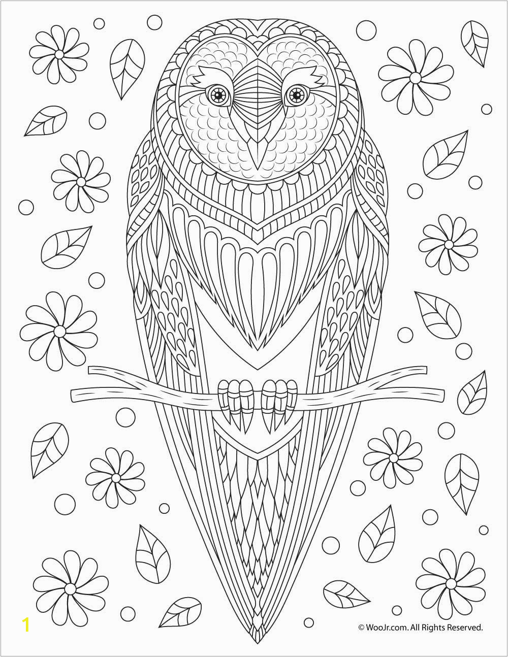 owl coloring pages