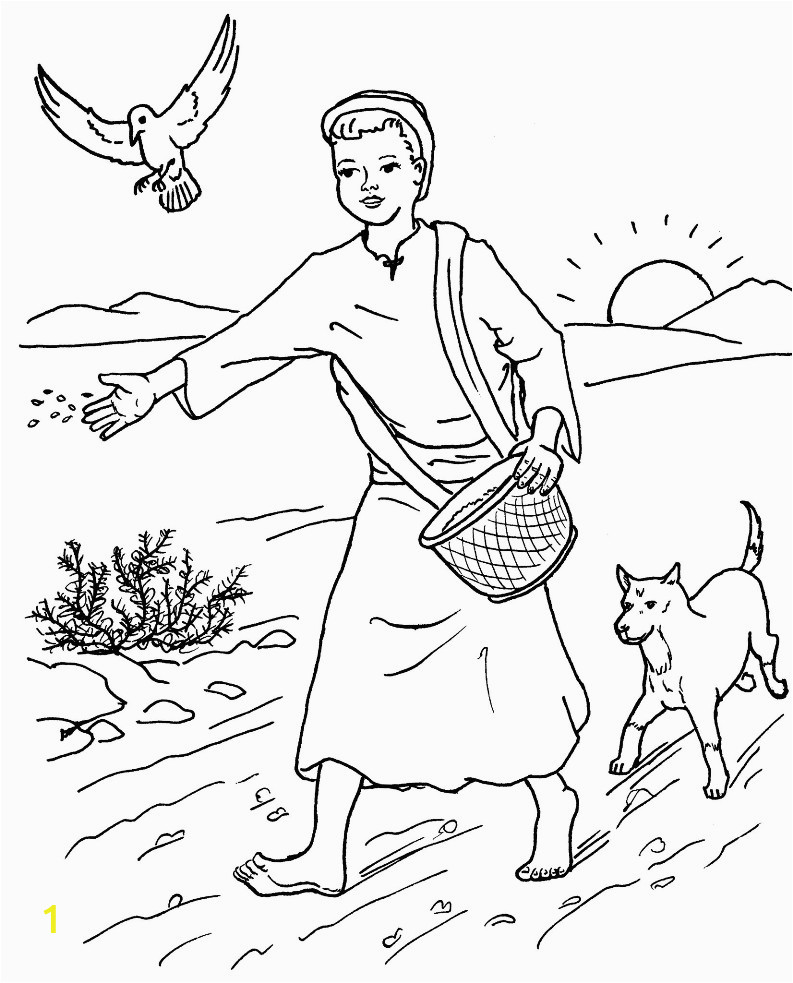 Parable Of the sower Coloring Page Parable Of the sower Coloring Pages