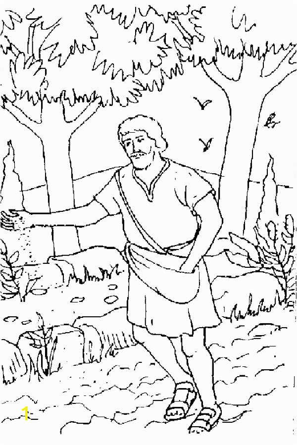 parable of the sower coloring page