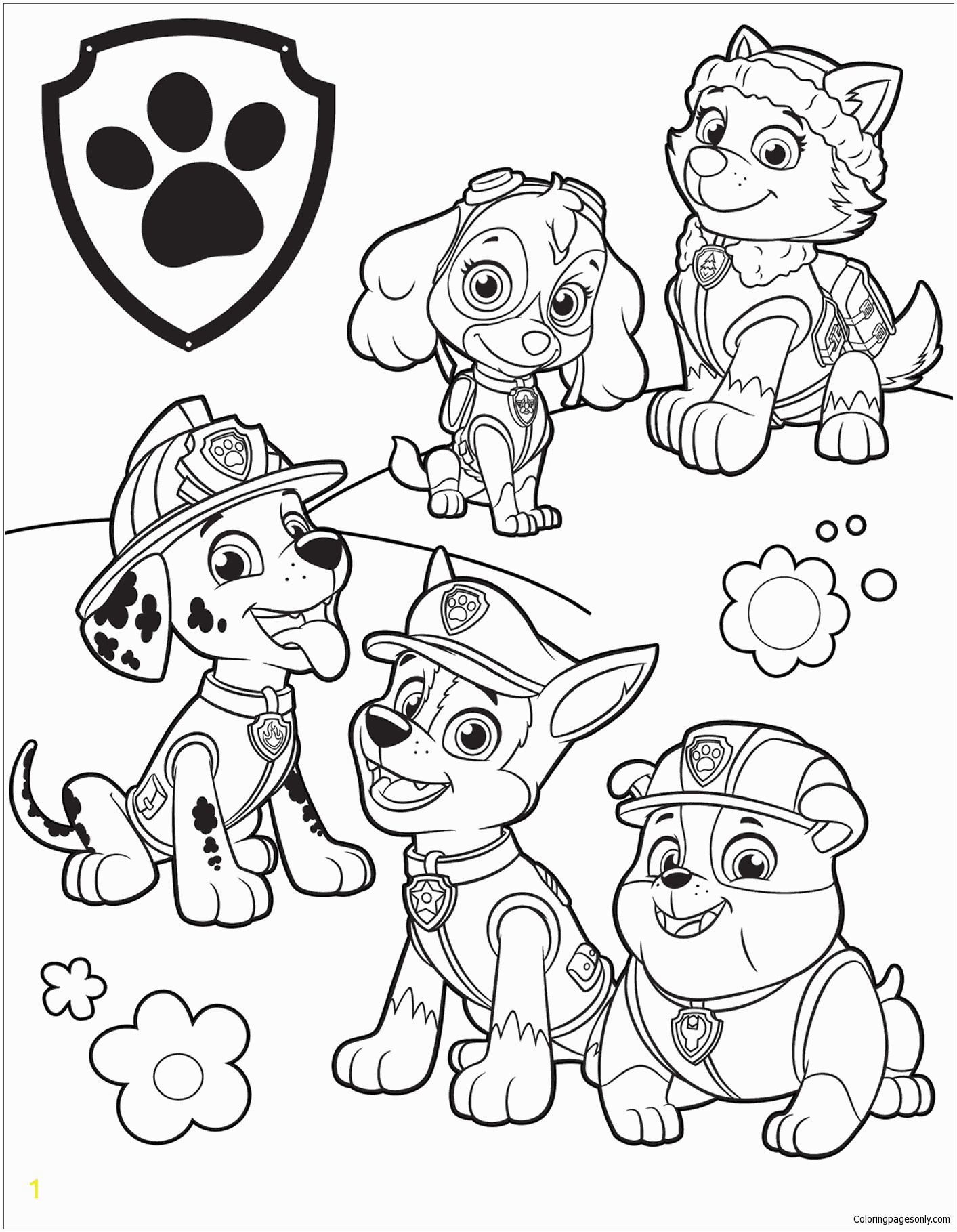 paw patrol 39