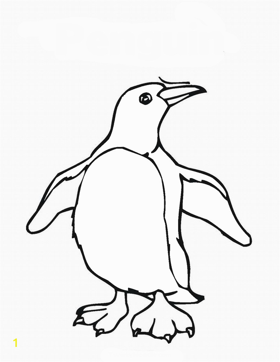the penguin of madagascar