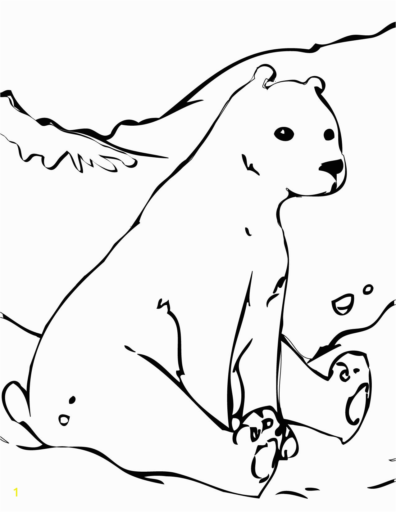 polar bear coloring pages