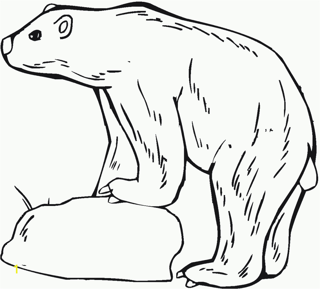 polar bear coloring pages