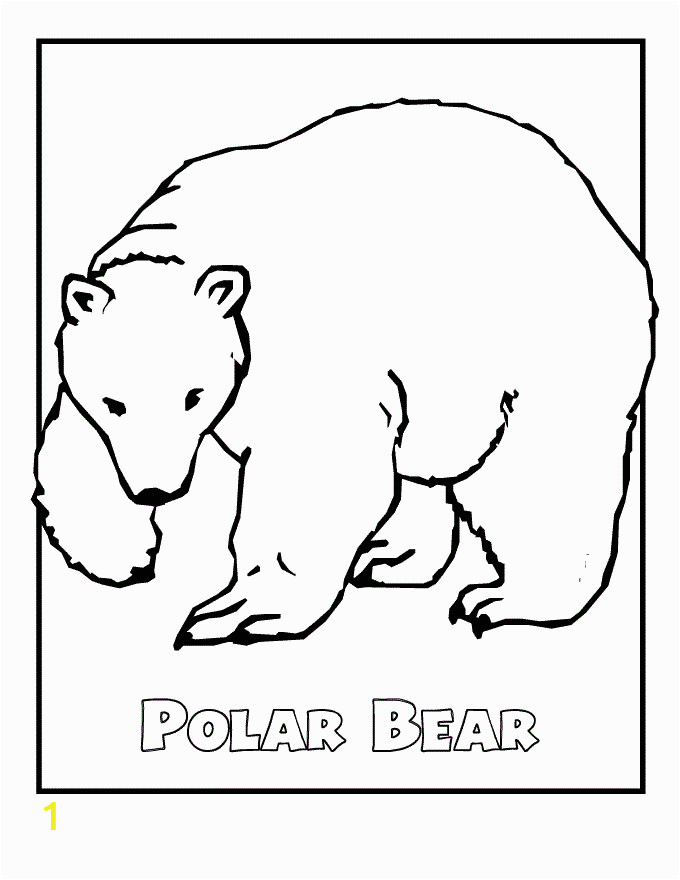 polar bear coloring pages