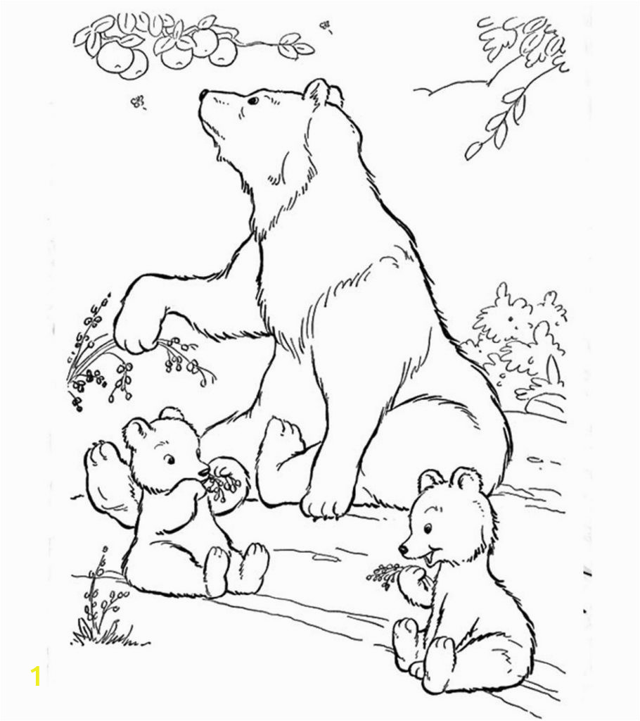 cute polar bear coloring pages for your little ones