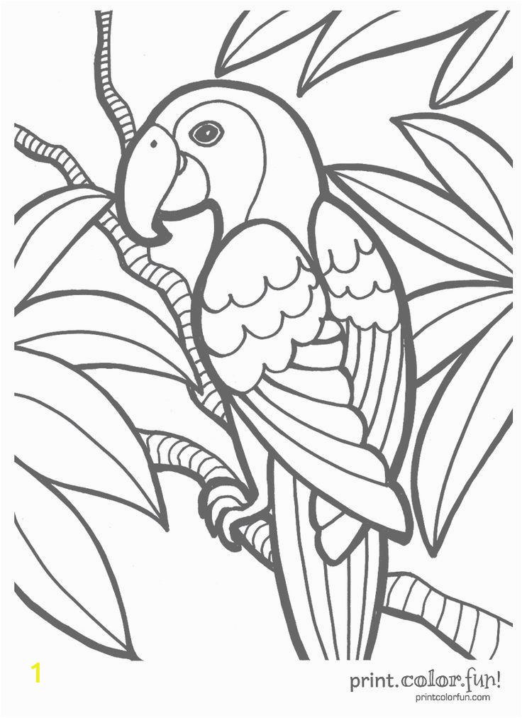 Printable Coloring Pages for Alzheimer S Patients Parrot Coloring Page Print Color Fun