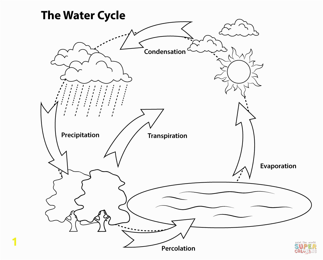 Printable Coloring Pages Of the Water Cycle Simple Water Cycle Coloring Page