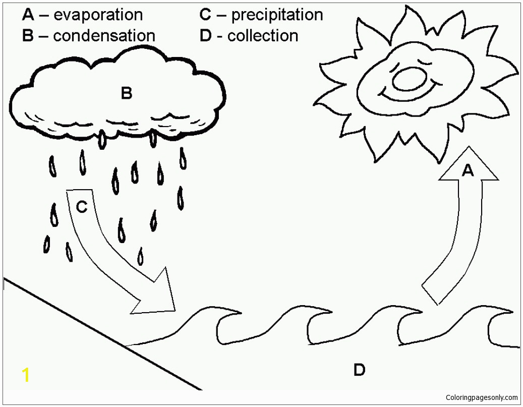 water cycle